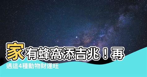 家裡有蜂窩代表|【家裡有蜂窩代表什麼】家有蜂窩添吉兆！再遇這4種動物財運旺。